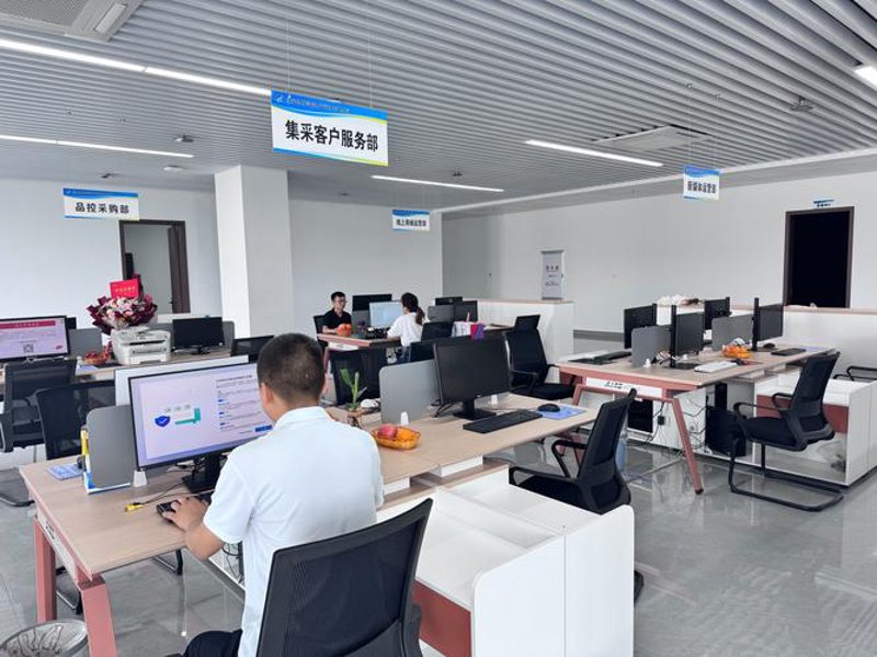采购执行中的策略与挑战